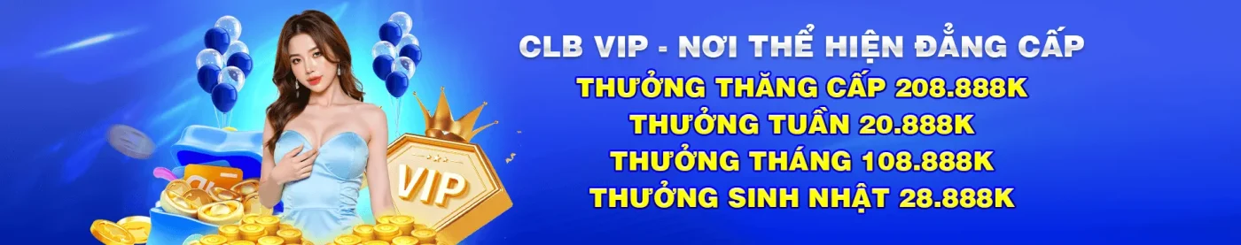 dn88 vip club